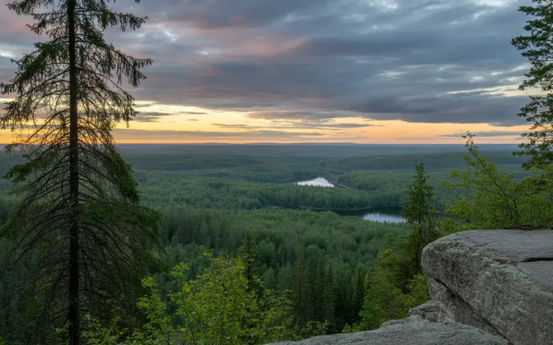 McFarlane Lake Mining Limited Grows Juby